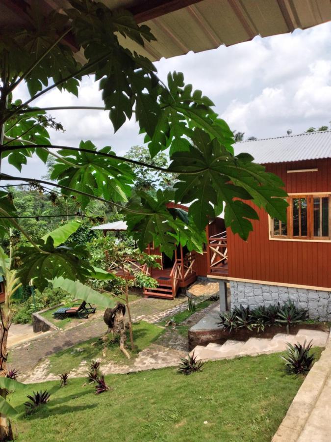 Guest House Quinta Natural Bangalots Graca Exterior photo