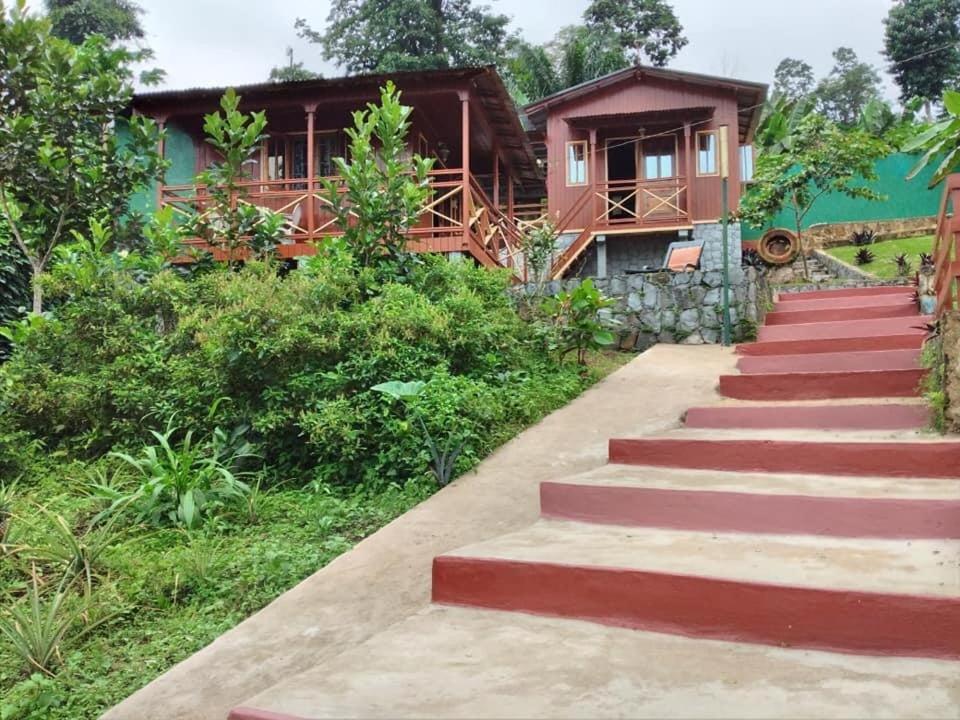 Guest House Quinta Natural Bangalots Graca Exterior photo